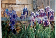 Irises. Monferrand.