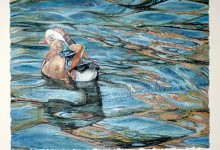 Mandarin Duck. Urval.