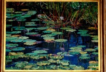 Lily Pond. Port Macquarie Golf Course. - Sold
