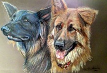Fred Bear and Honey